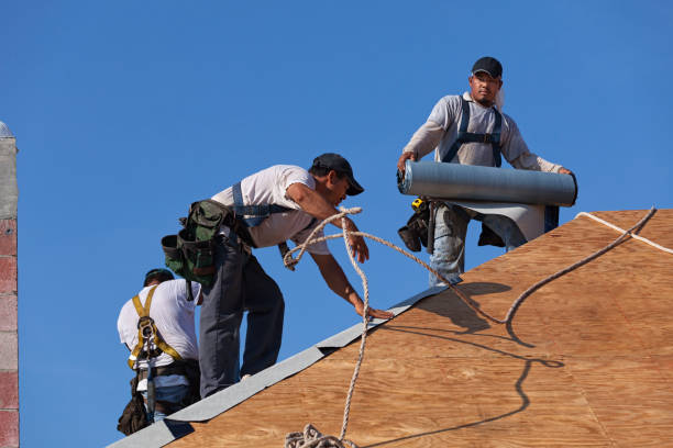 Best New Roof Installation  in Oak Harbor, WA