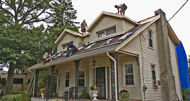 Best Roof Repair Services  in Oak Harbor, WA